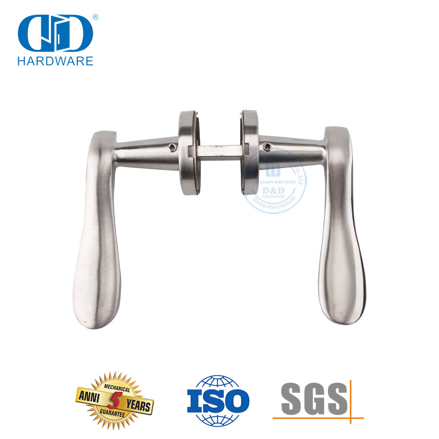 Solid Stainless Steel Lever Type Precision Cast Door Handle-DDSH014-SSS