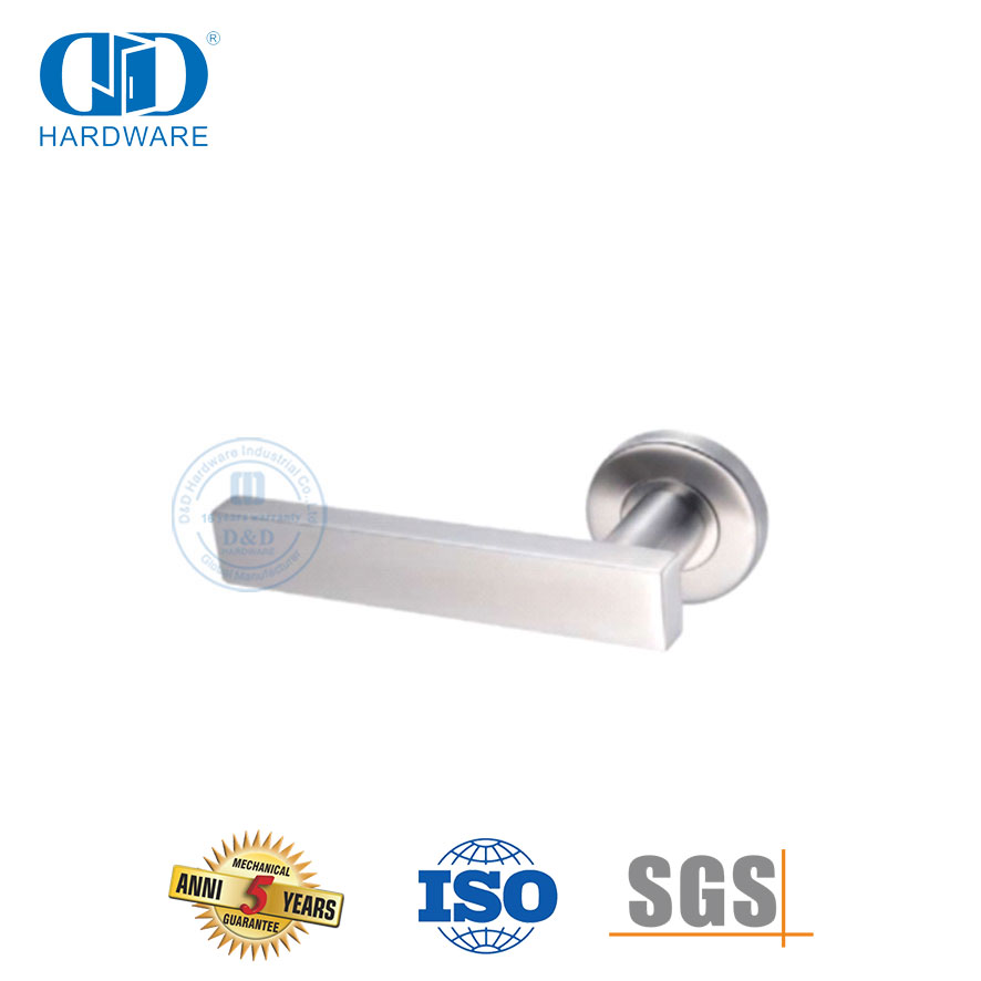 Round Rosette Stainless Steel Types of Door Handle for House-DDTH039-SSS