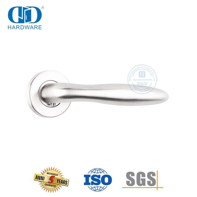 European Villa Interior Luxury Door Hardware Stainless Steel Solid Lever Handle-DDSH024-SSS