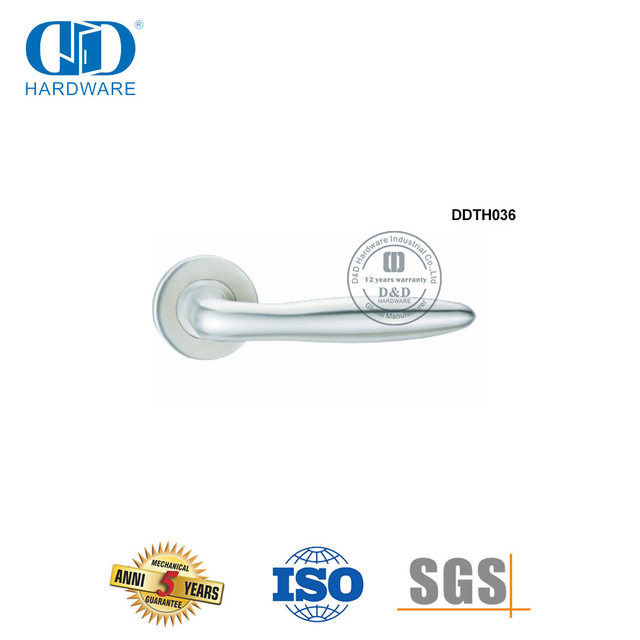 Stadium Project Stainless Steel European Style Casting Hollow Lever Handle-DDTH036-SSS