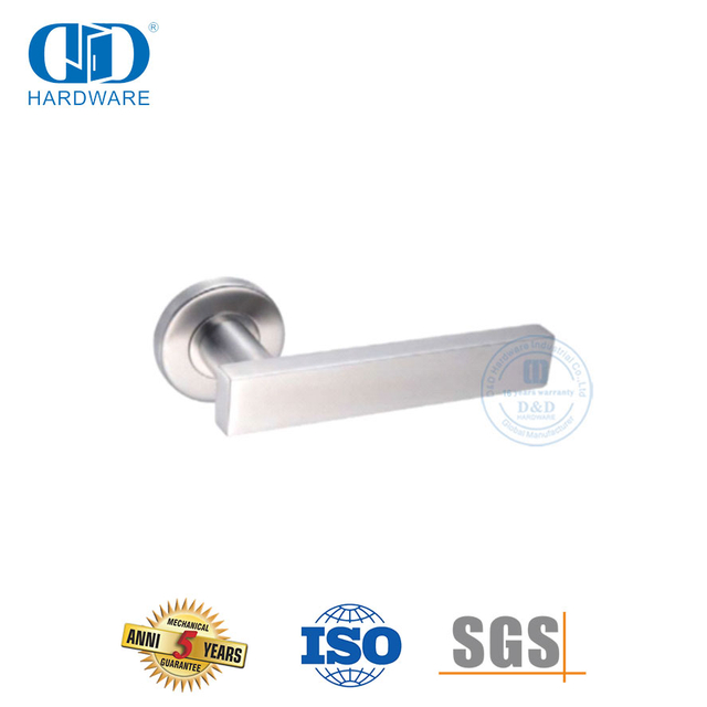 Round Rosette Stainless Steel Types of Door Handle for House-DDTH039-SSS