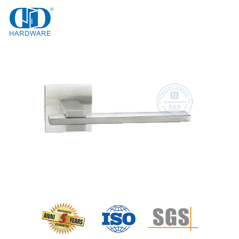 Stainless Steel Hardware Interior Exterior Door Solid Lever Handle-DDSH060-SSS