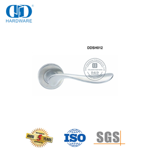 European Front Entrance Door Stainless Steel Solid Lever Handle-DDSH012-SSS