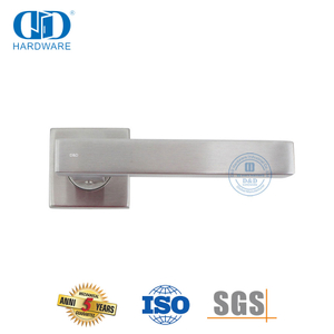 High Quality Exterior Door Square Lever SUS 304 European Door Hardware-DDTH046-SSS