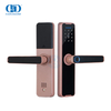 Digital Door Anti-theft Door With Smart Fingerprint Keyless Inteligente Electric Lock-DDDL005