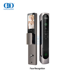 Keyless Entry Unlock Anti-Theft Manufacture Office Smart Lock IC Card Scan Digital Glass ID 3D Face Recognition Smart Door Lock-DDEL026