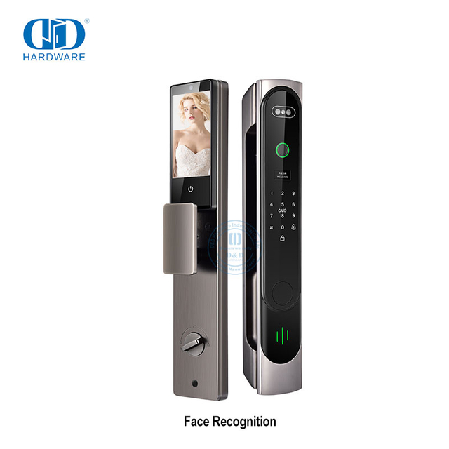Keyless Entry Unlock Anti-Theft Manufacture Office Smart Lock IC Card Scan Digital Glass ID 3D Face Recognition Smart Door Lock-DDEL026