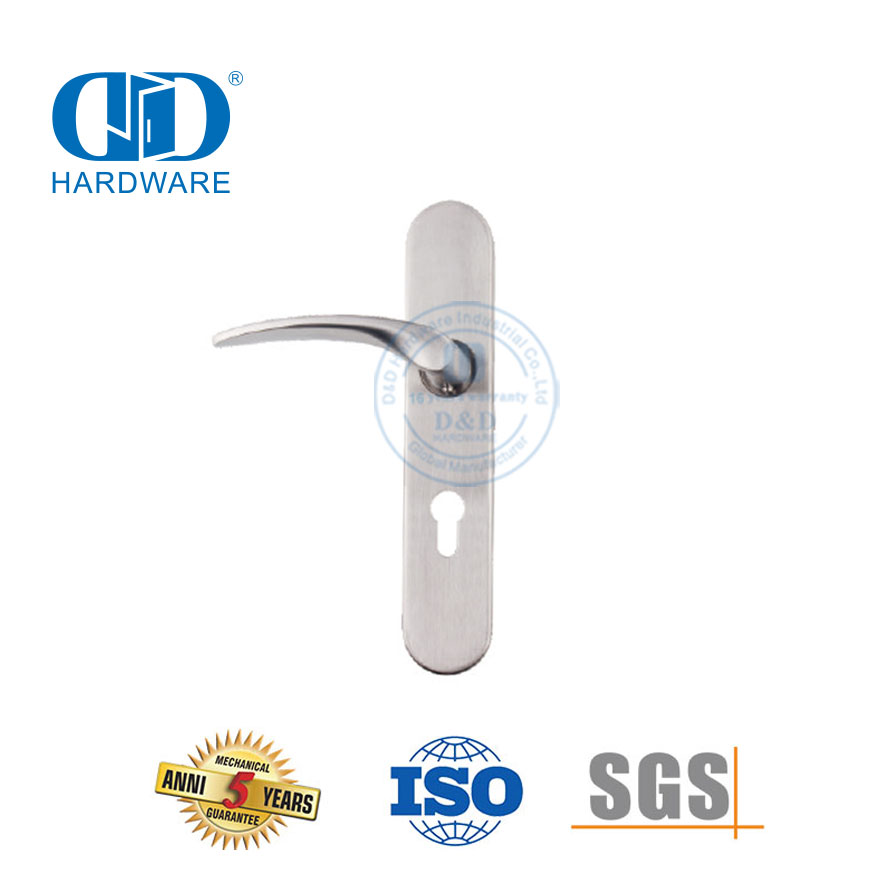 Stainless Steel Heavy Duty Mortise Entry Lock Lever Handle with Plate-DDTP006