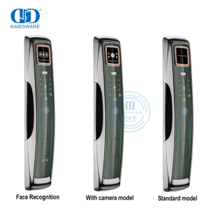 Manufacturer WiFi Digital Card Security Safe Electronic Fingerprint Remote Control Smart Door Lock with Camera And Audio -DDEL009