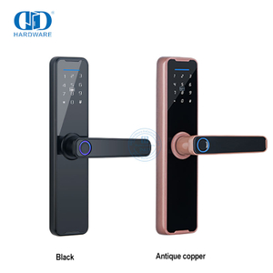 Digital Door Anti-theft Door With Smart Fingerprint Keyless Inteligente Electric Lock-DDDL005