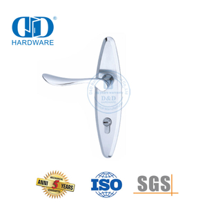 Classic SUS304 High Quality Modern Exterior Door Solid Handles Lever with Backplate-DDLP002