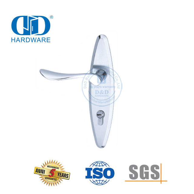 Classic SUS304 High Quality Modern Exterior Door Solid Handles Lever with Backplate-DDLP002