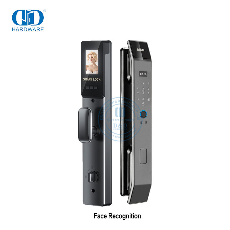 Sales Top Alum. Alloy Material 3D Face Smart Keypad Door Lock-DDEL018