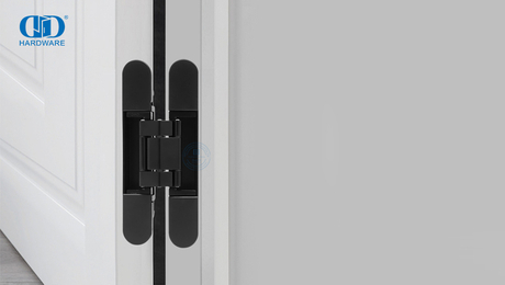 How Do Hidden Door Hinges Work?.jpg