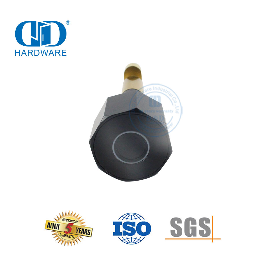 Stainless Steel Brass Digital Bluetooth Function Fingerprint Security USB Charging Interior External Door Padlock-DDPL101-70mm