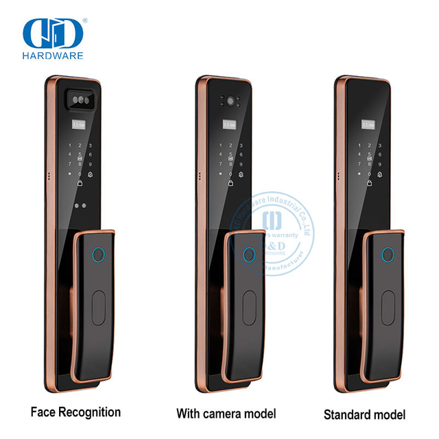 Luxury Wifi Remote Capture with Camera Key Fingerprint Smart Door Lock-DDEL011