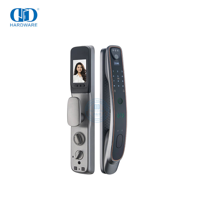 European Style Automatic Apartment Keyless Digital House Hotel WiFi Waterproof Smart Door Lock-DDEL019