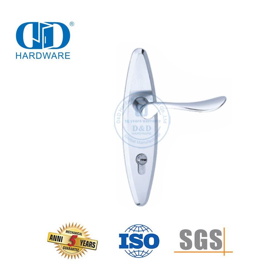 Classic SUS304 High Quality Modern Exterior Door Solid Handles Lever with Backplate-DDLP002