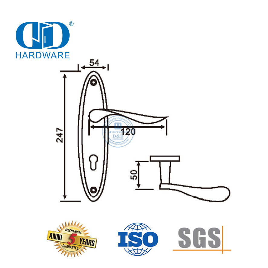 Classic SUS304 High Quality Modern Exterior Door Solid Handles Lever with Backplate-DDLP002