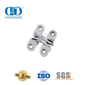 Easy Installation Zinc Alloy Invisible Furniture Cabinet Hardware Pivot Commercial Wooden Steel Door Hinge-DDCH007