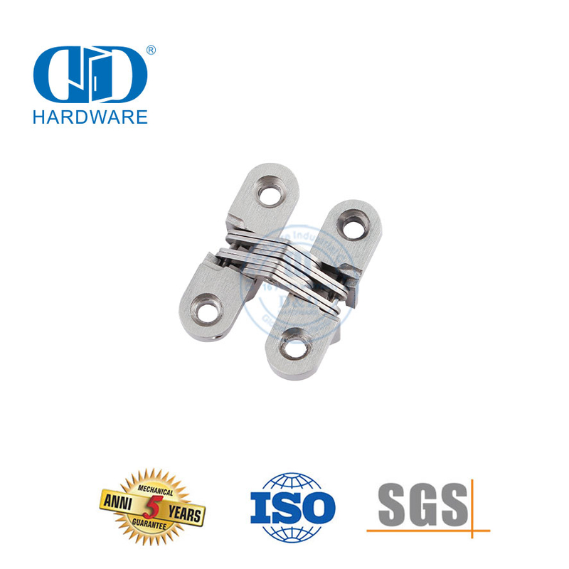 Easy Installation Zinc Alloy Invisible Furniture Cabinet Hardware Pivot Commercial Wooden Steel Door Hinge-DDCH007