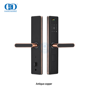 Main Door Keyless Digital Keypad Handle Automatic Door Lock-DDDL003