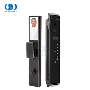 Face Unlocked Recognition Remote Control Digital Passcode Vaildation Doorbell Metal Door Smart Lock -DDEL028