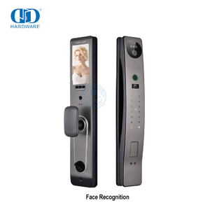 Outdoor Smart Fingerprint Lock Fingerprint Face Recognition Camera Door Lock-DDEL021