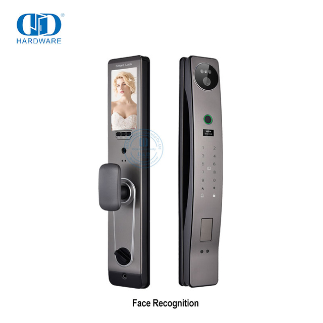 Outdoor Smart Fingerprint Lock Fingerprint Face Recognition Camera Door Lock-DDEL021