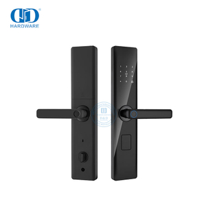 Front Door Handle Electronic Fingerprint Smart House Lock with Screen-DDDL001