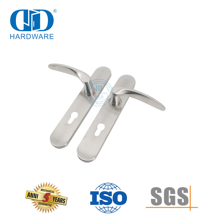 Stainless Steel Heavy Duty Mortise Entry Lock Lever Handle with Plate-DDTP006